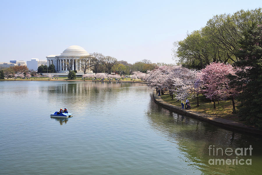 Cherry Blossom Time at the Tidal Basin in Washington DC Photograph by William Kuta