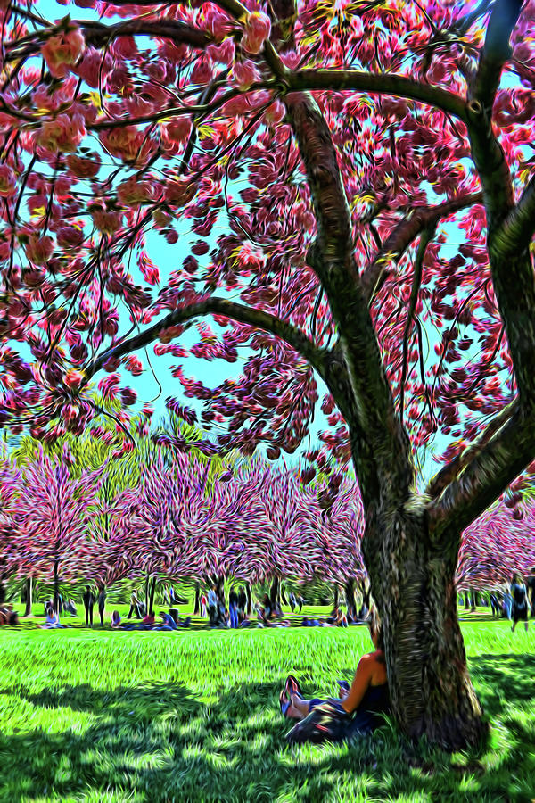 Cherry Blossom Trees of B B G # 9 - Photopainting Photograph by Allen Beatty