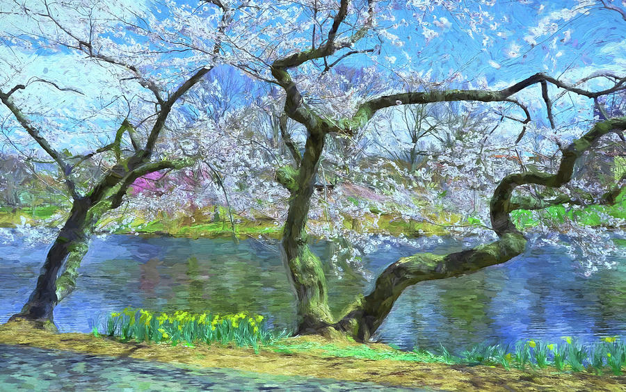 Cherry Blossom Trees of Branch Brook Park 10 - Photopainting Photograph by Allen Beatty