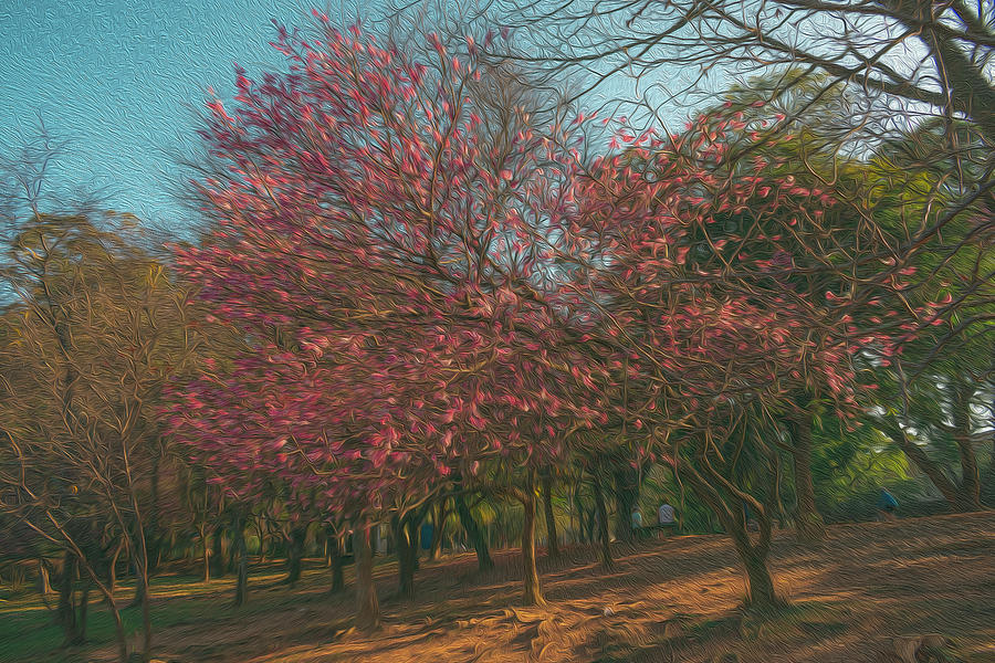 Flower Mixed Media - Cherry Blossom by Hemerson Coelho