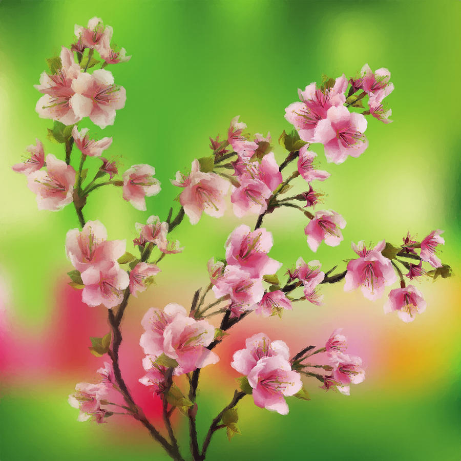 Nature Mixed Media - Cherry Blossom - Variation 3 by Maria Biro