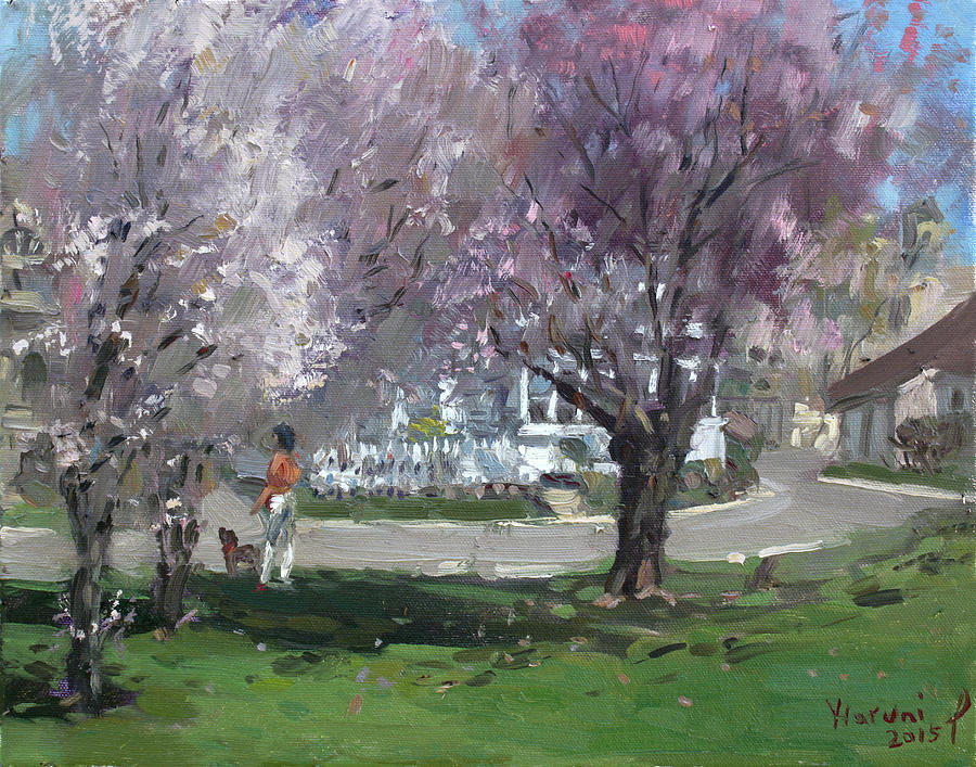 Spring Painting - Cherry Blossom by Ylli Haruni