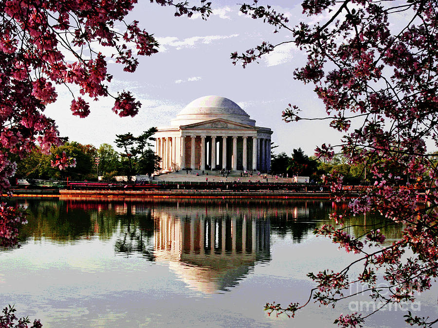 Cherry Blossoms at Jefferson Memorial Photograph by Larry Oskin