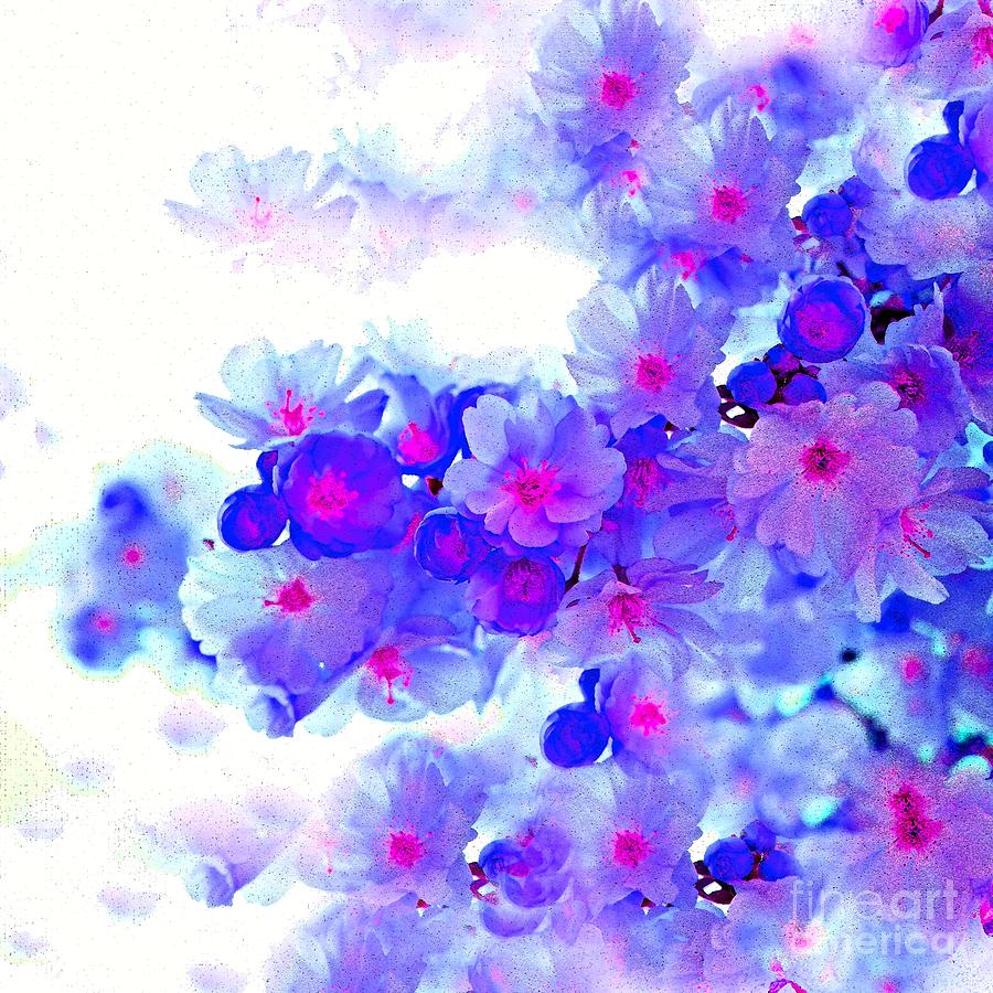 Cherry Blossoms Blue Painting by Saundra Myles