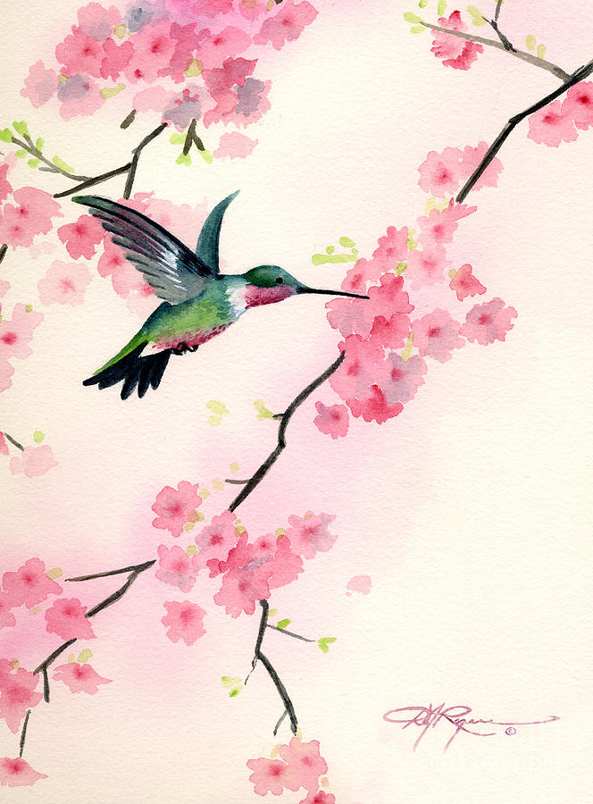 Hummingbird Painting - Cherry Blossoms by David Rogers