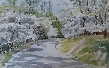 Cherry Blossoms Fickling Dr Painting by Martha Tisdale