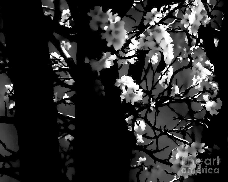 Cherry Blossoms in the Back BW Digital Art by Tim Richards