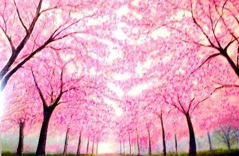 Cherry Blossoms Lane Painting by Marie-Line Vasseur