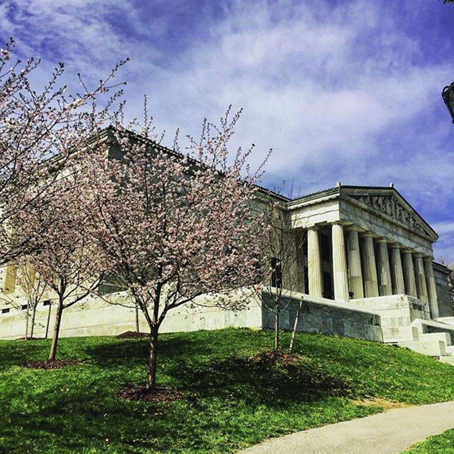 Spring Photograph - Cherry Blossoms Starting To Pop Up by Architecture Of Buffalo