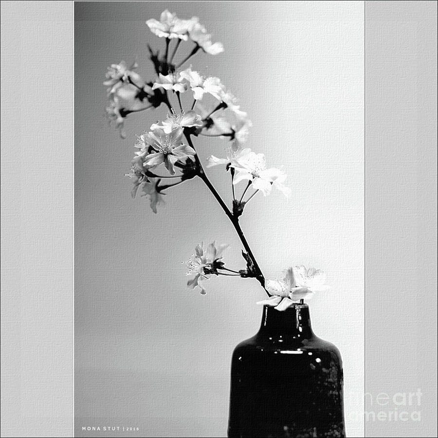 Cherry Blossoms In Vase Bw Photograph
