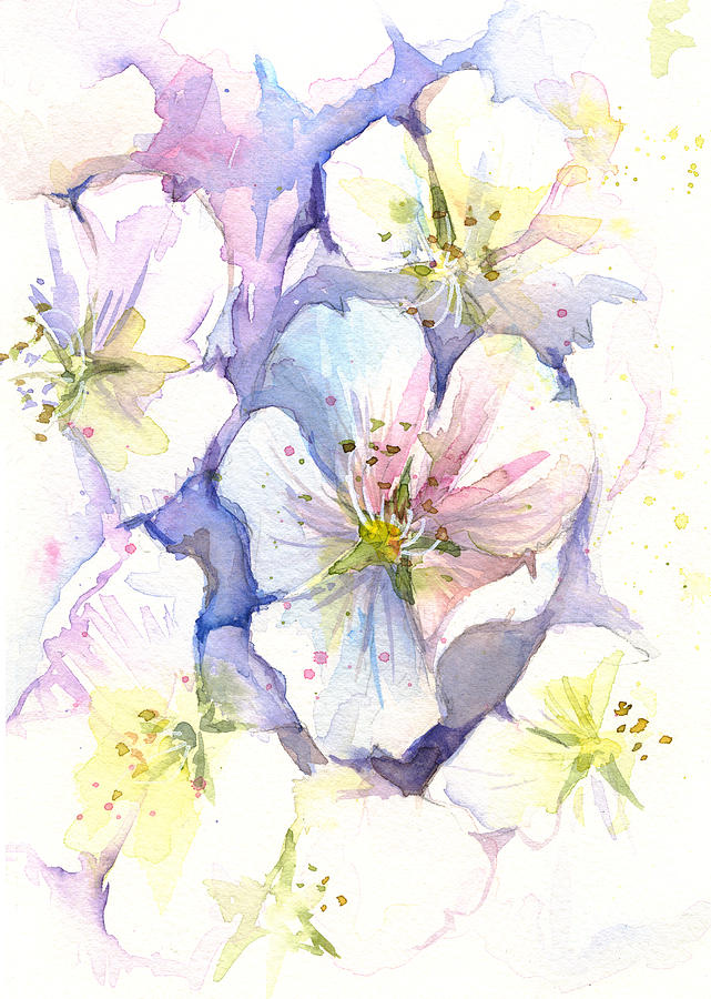 Spring Painting - Cherry Blossoms Watercolor by Olga Shvartsur