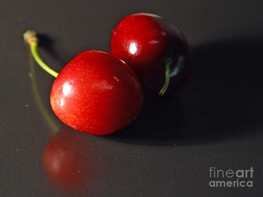 Cherry Cherries Fruit Photograph by Vintage Collectables