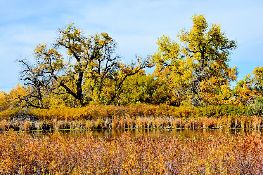 Cherry Creek Pond in Autumn Photograph by Robert Meyers-Lussier