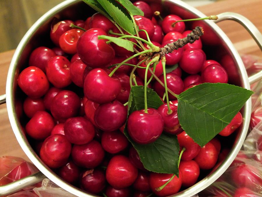 Cherry Photograph - Cherry Fruit Harvest by Olga Kurygina Cherry Photograph - Cherry Fruit Harvest by Olga Kurygina
