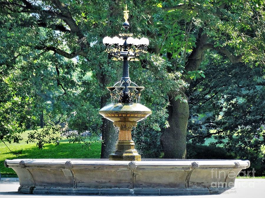 Cherry Hill Fountain New York Photograph