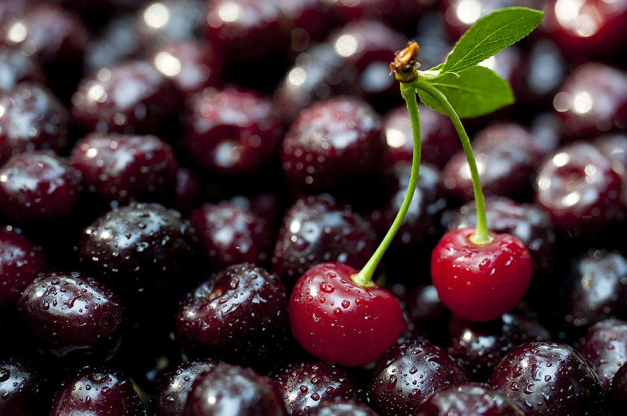 Cherry on Top Photograph by Anna Lysa - Fine Art America