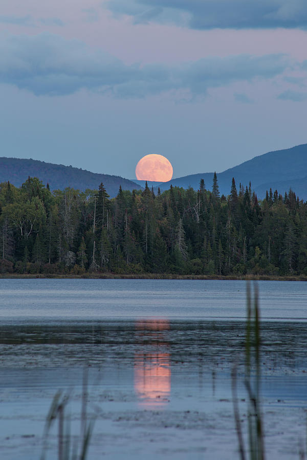 Cherry Pond Harvest Moon Photograph by White Mountain Images