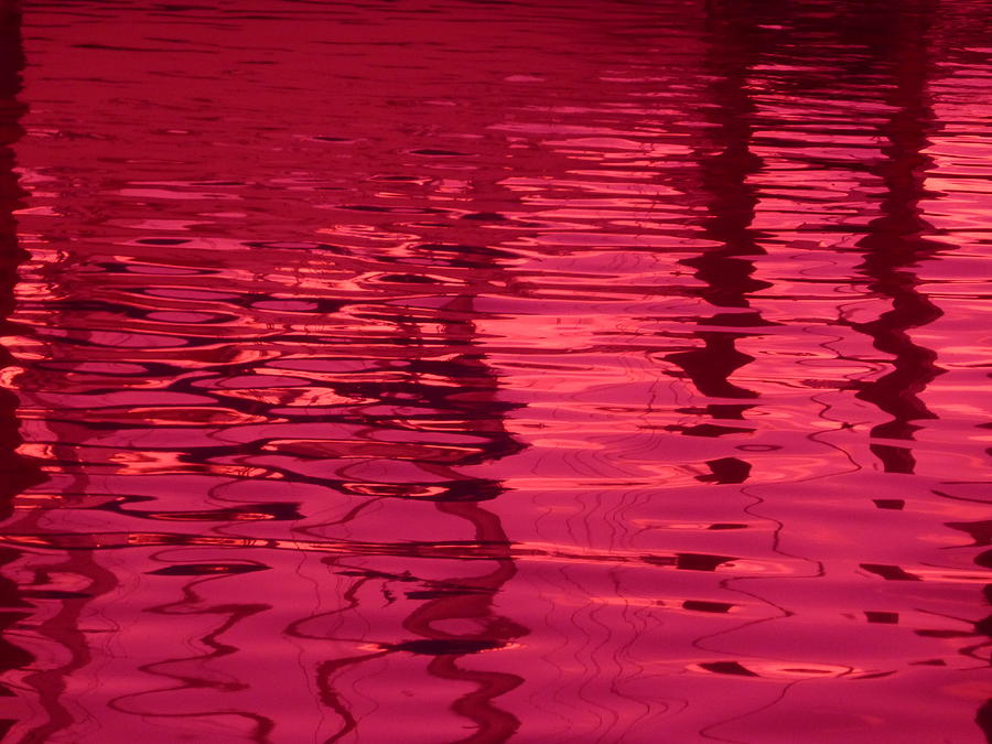 Cherry Shimmer Photograph by Florene Welebny