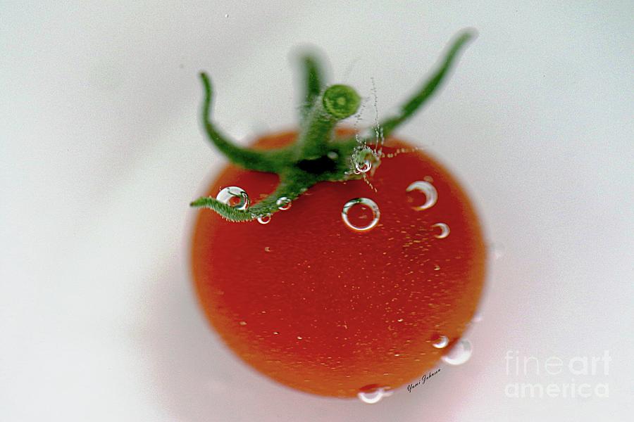 Cherry Tomato in water Photograph by Yumi Johnson