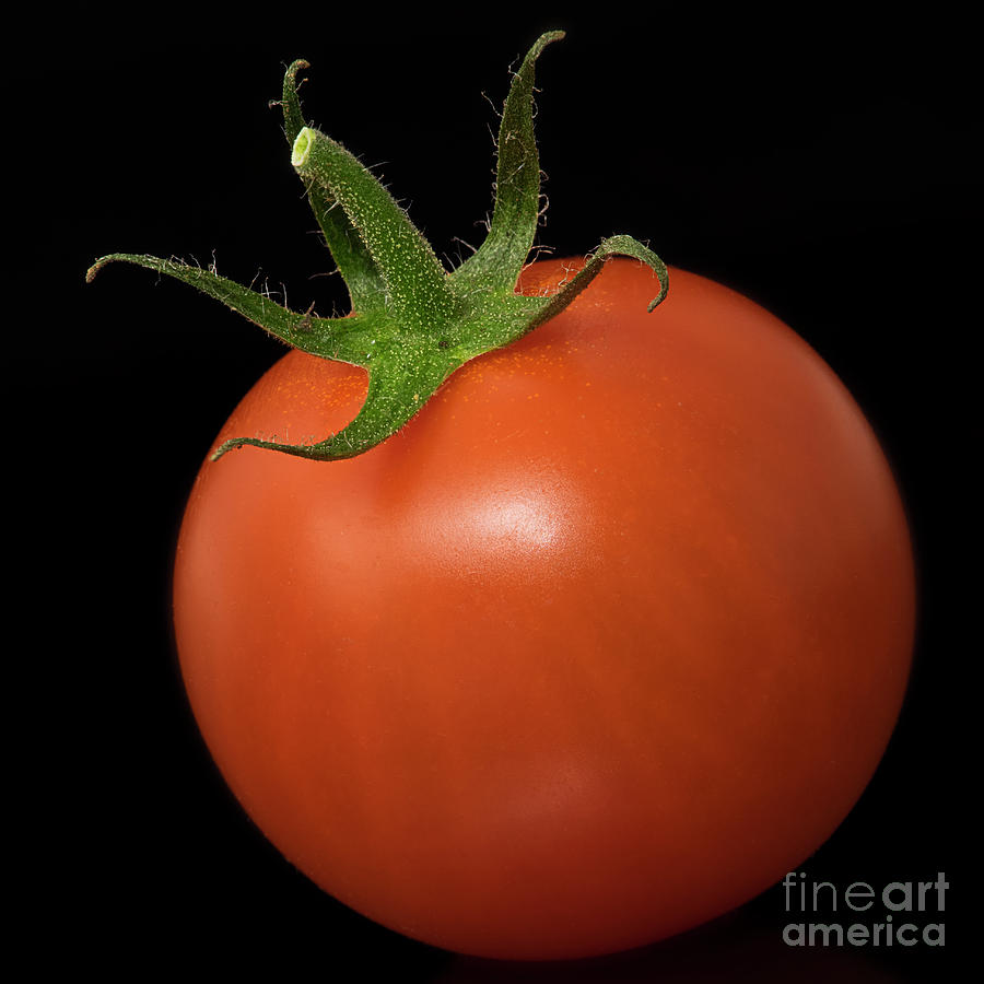 Red Cherry Tomato On A Black Background Photograph
