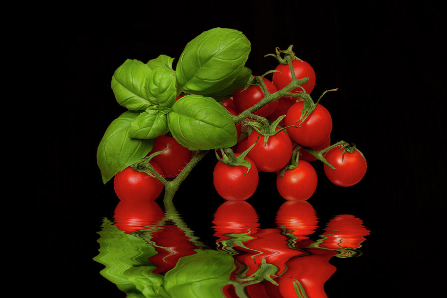Cherry Tomatoes and Basil Photograph by David French