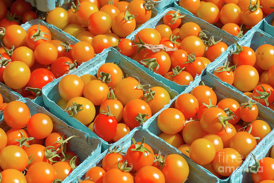 Cherry Tomatoes At The Market Photograph by Bruce Block