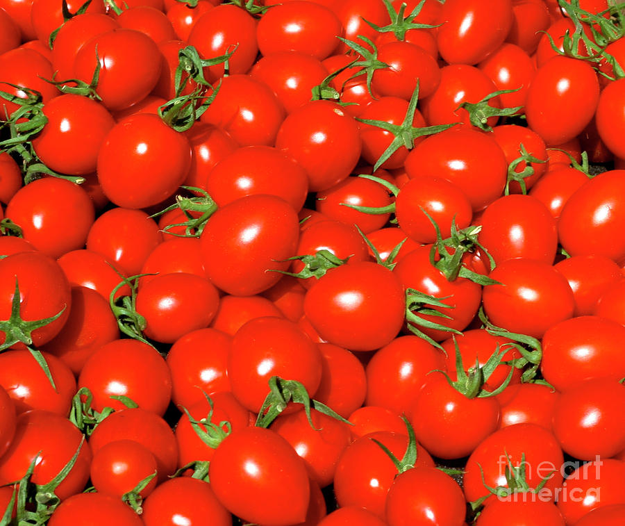 Cherry tomatoes Photograph by Bruce Block