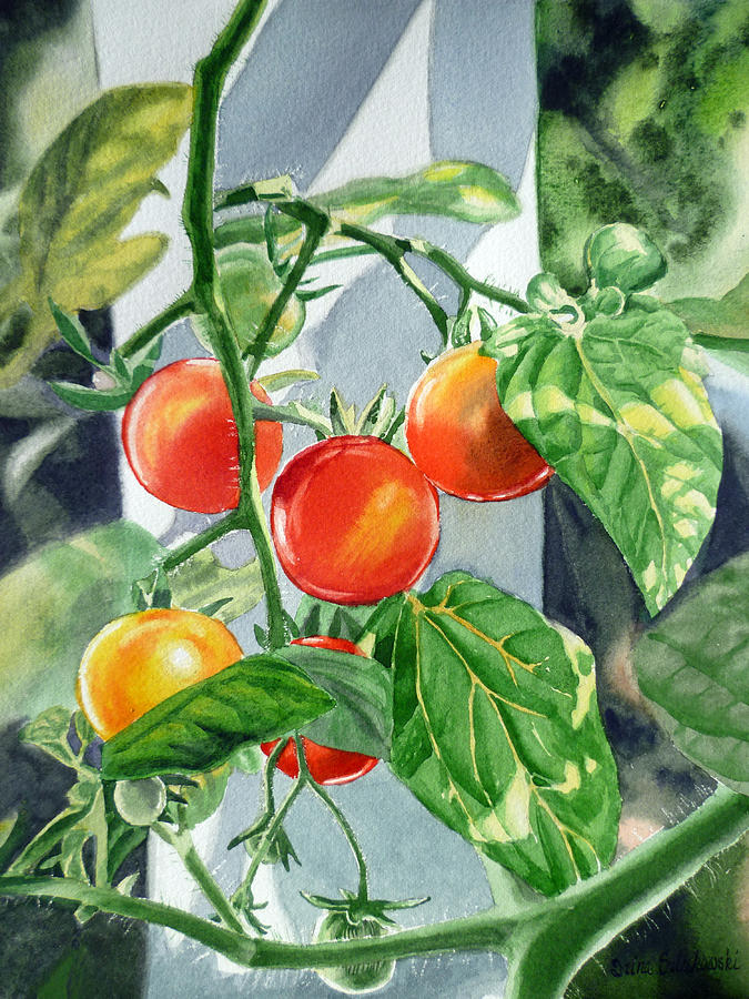 Cherry Tomatoes Painting by Irina Sztukowski