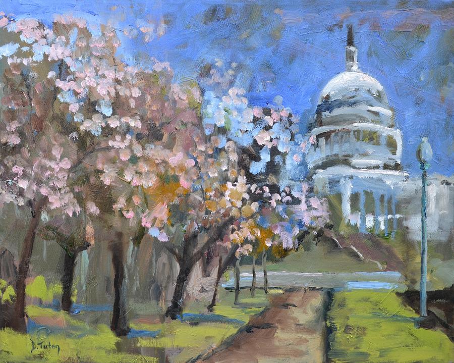 Washington D.c. Painting - Cherry Tree Blossoms in Washington DC by Donna Tuten