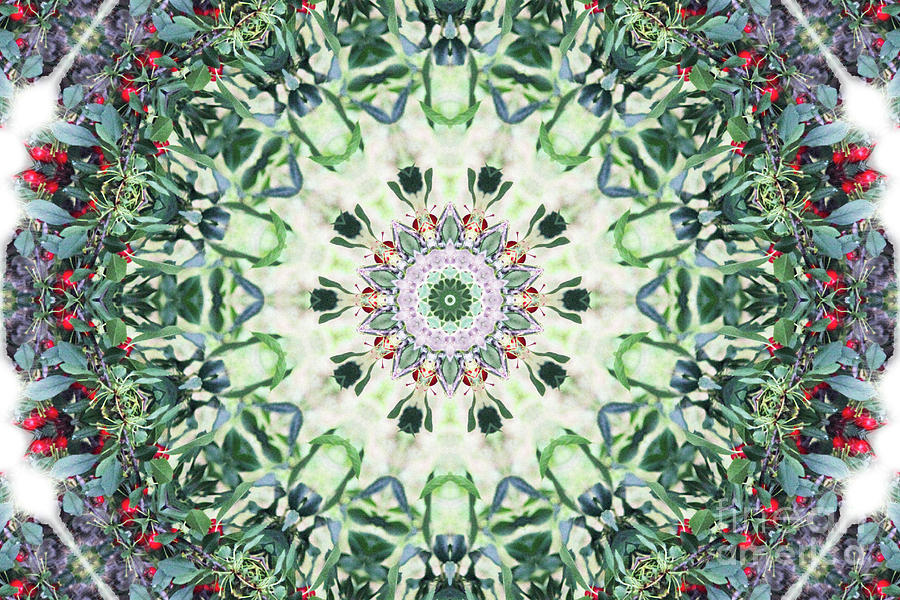 Cherry Tree Kaleidoscope Digital Art by Donna L Munro