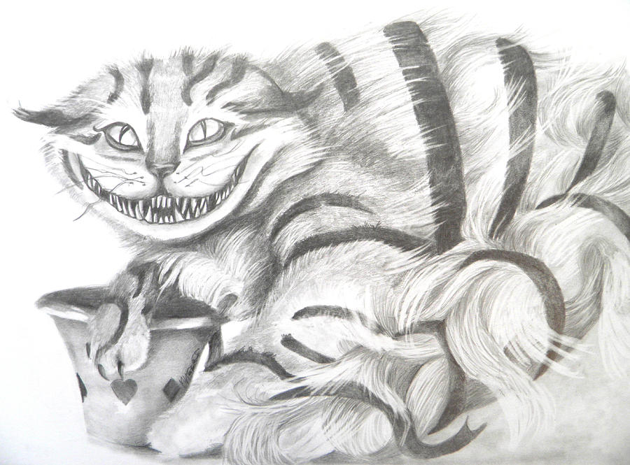 Chershire cat  Drawing by Meagan  Visser