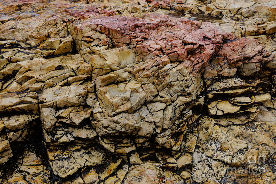 Chert Rock Photograph by Jennifer White
