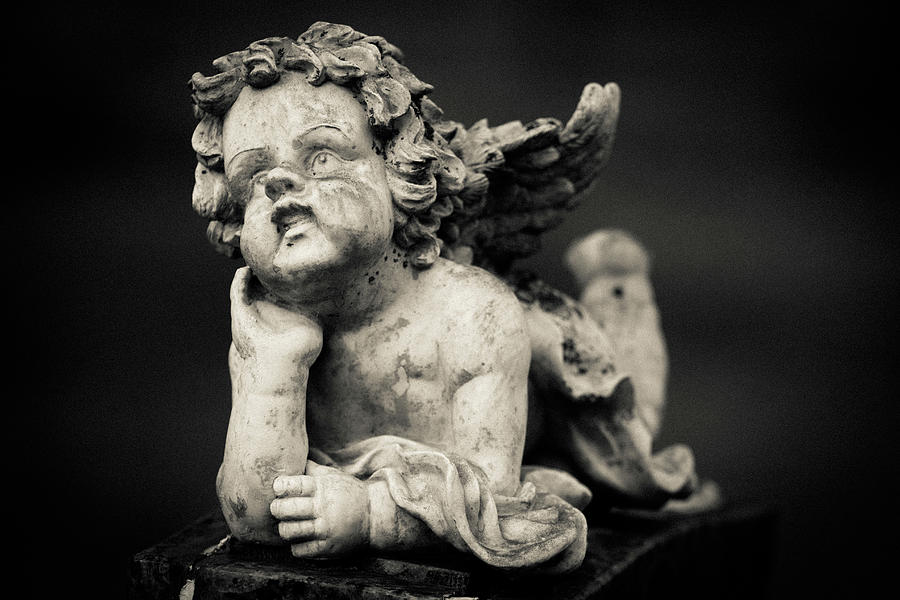 Cherub by Carl Simmerman Cherub by Carl Simmerman