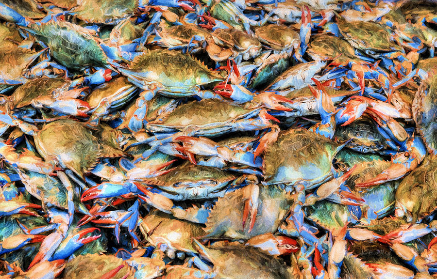 Crab Photograph - Chesapeake Bay Blue Crabs by JC Findley