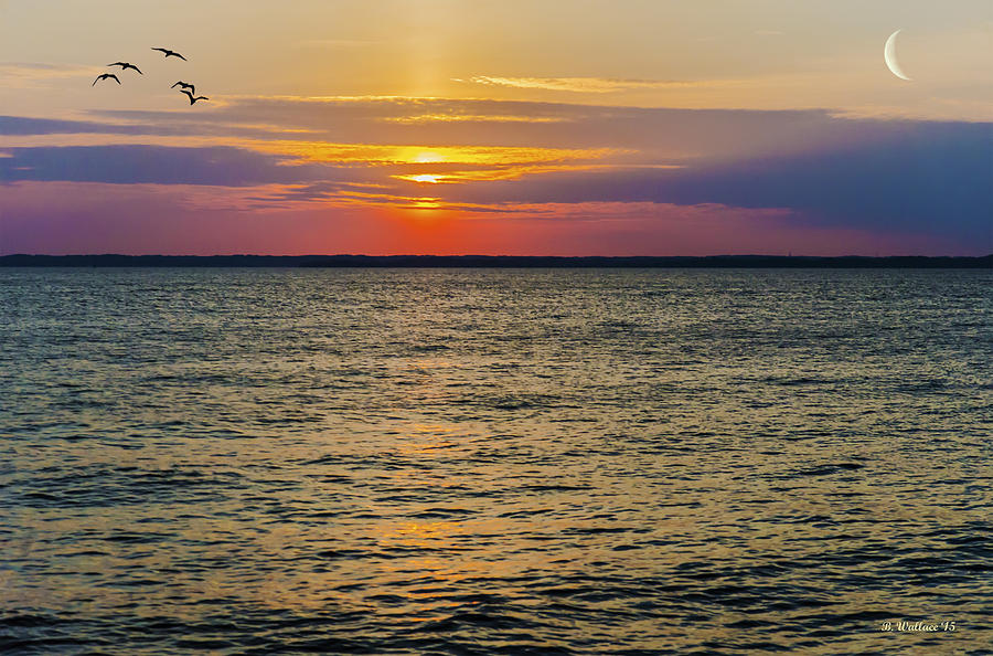 Sunset Photograph - Chesapeake Dreams by Brian Wallace