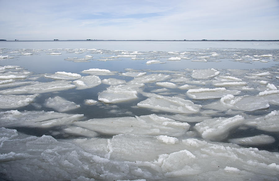 Chesapeake Ice on the Nanticoke River, Tyaskin, MD Photograph by Dana ...