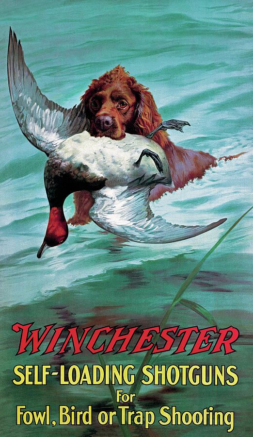 Vintage Painting - Chesapeake Retriever With Duck by Unknown