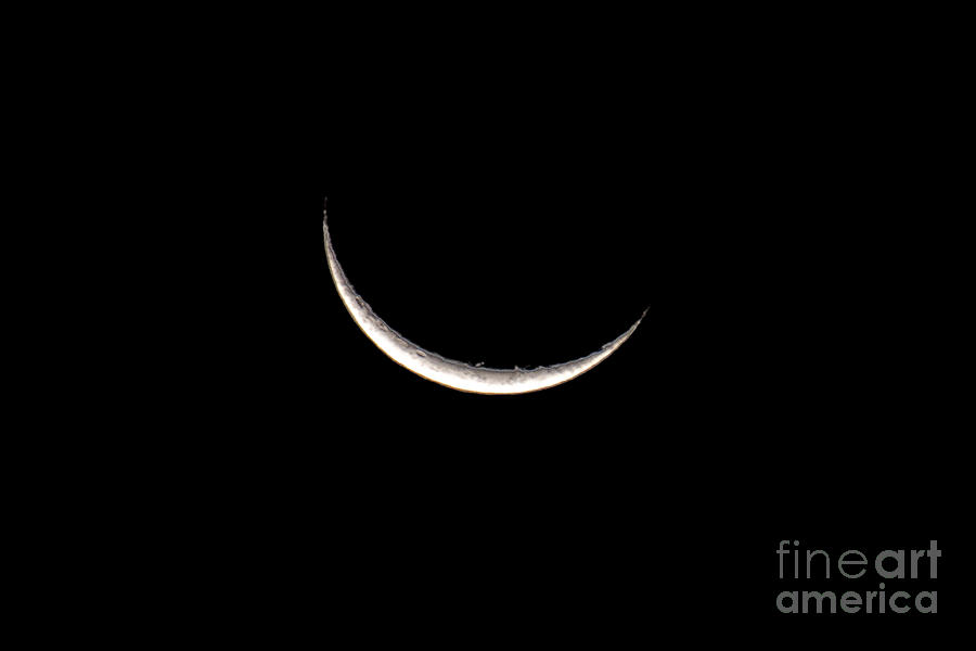 Cheshire Cat Moon Photograph by Bob Hislop