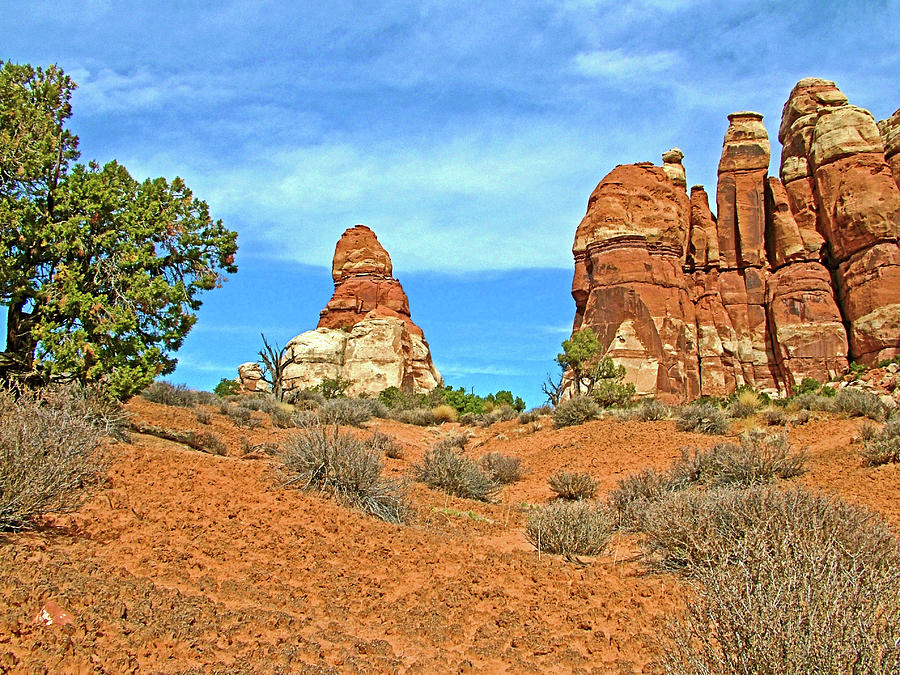 Chesler Park Overview  in Island in the Needles District of Canyonlands National Park, Utah Photograph by Ruth Hager