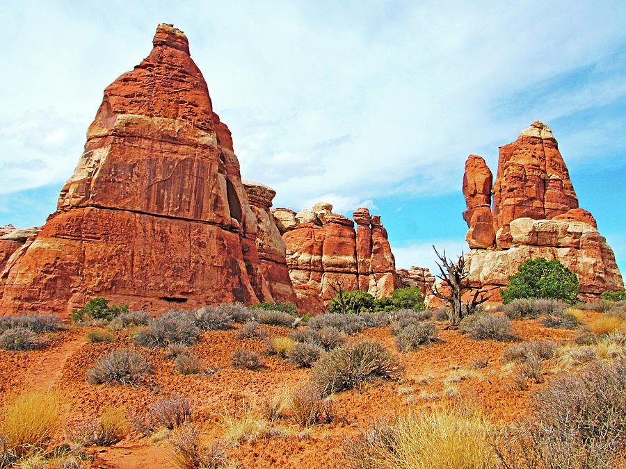 Chesler Park Overview in Needles District in Canyonlands National Park, Utah Photograph by Ruth Hager