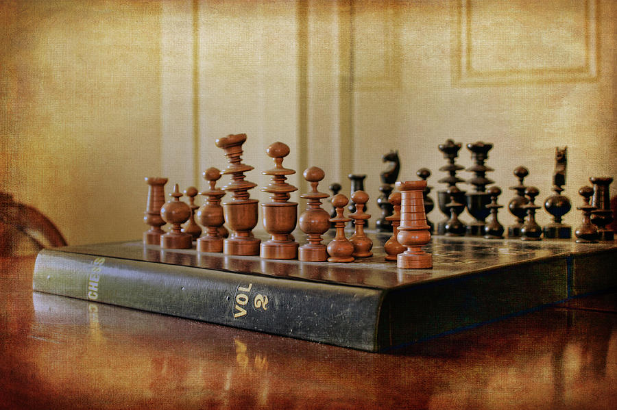 Chess - Volume 2 Photograph by Nikolyn McDonald