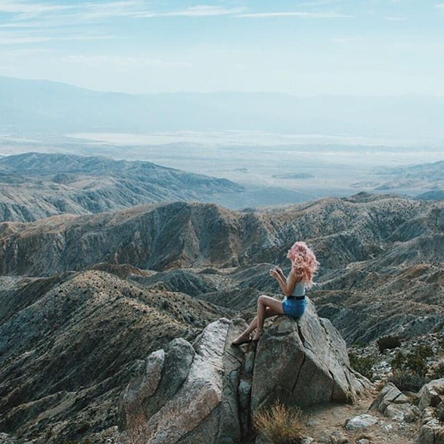 Natgeo Photograph - @chessi Looking Out Over Joshua Tree by Grizzlee Martin