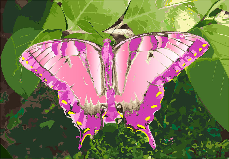 Chester the Giant Butterfly Digital Art by Inge Lewis