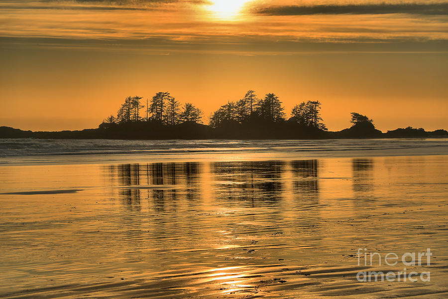 Chesterman Beach Golden Sunset Photograph by Adam Jewell