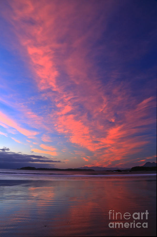 Chesterman Beach Sunset Portrait Photograph by Adam Jewell