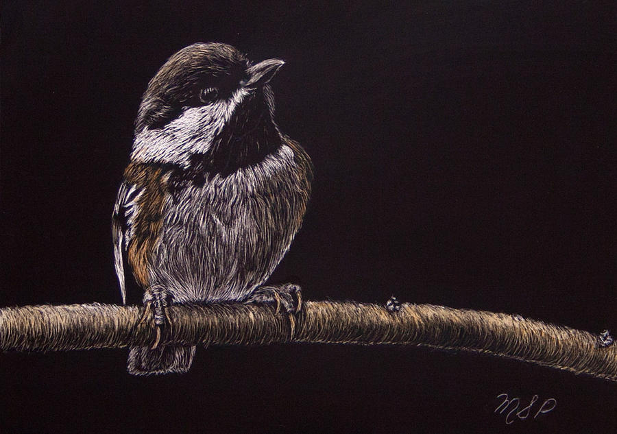 Chestnut Backed Chickadee Painting by Margaret Sarah Pardy