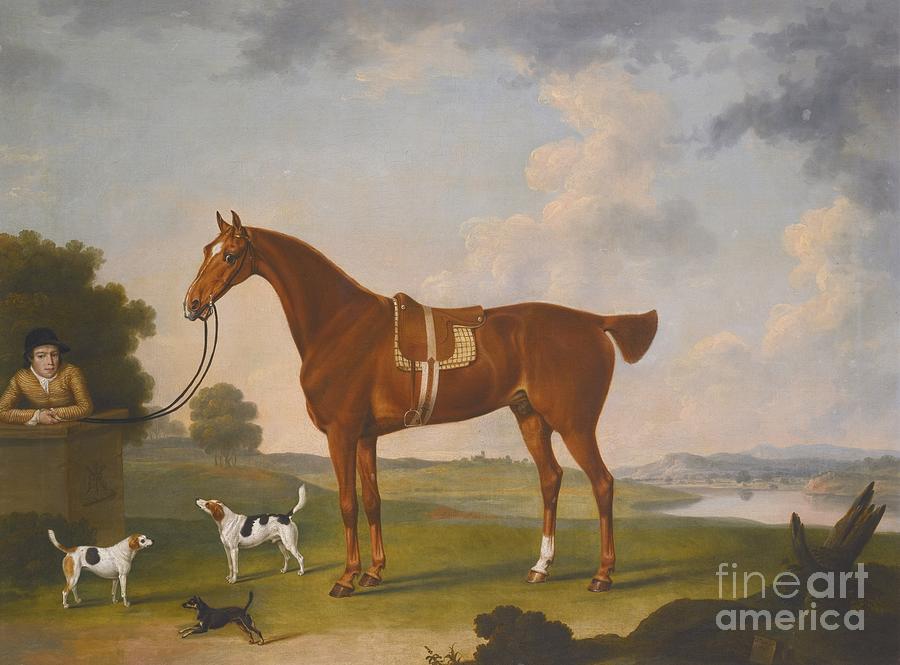 Tree Painting - Chestnut Hunter With A Groom And Two Hounds by MotionAge Designs