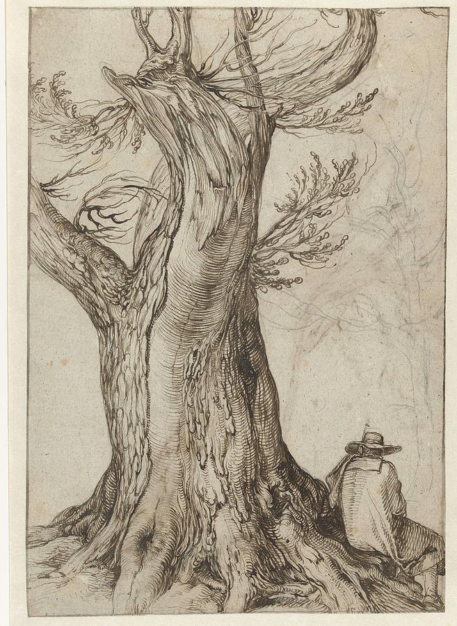 Chestnut Tree With Some Trees Around It, The Gheyn Jacob II, 1598-1608 Painting