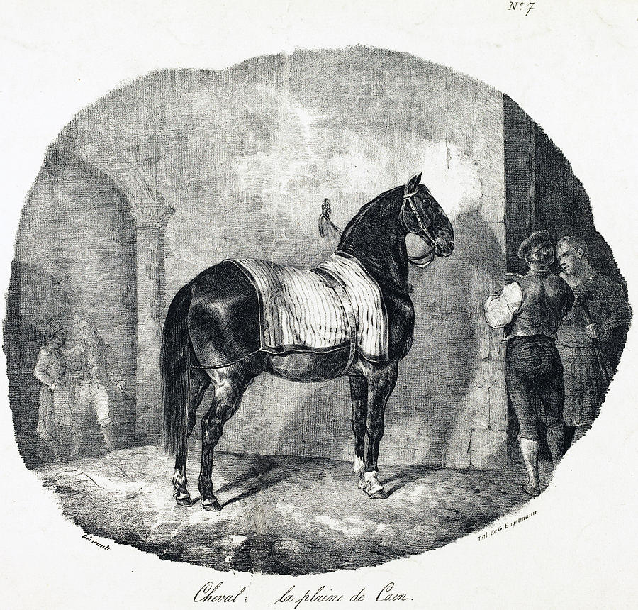 Cheval de la plaine de Caen Drawing by Theodore Gericault