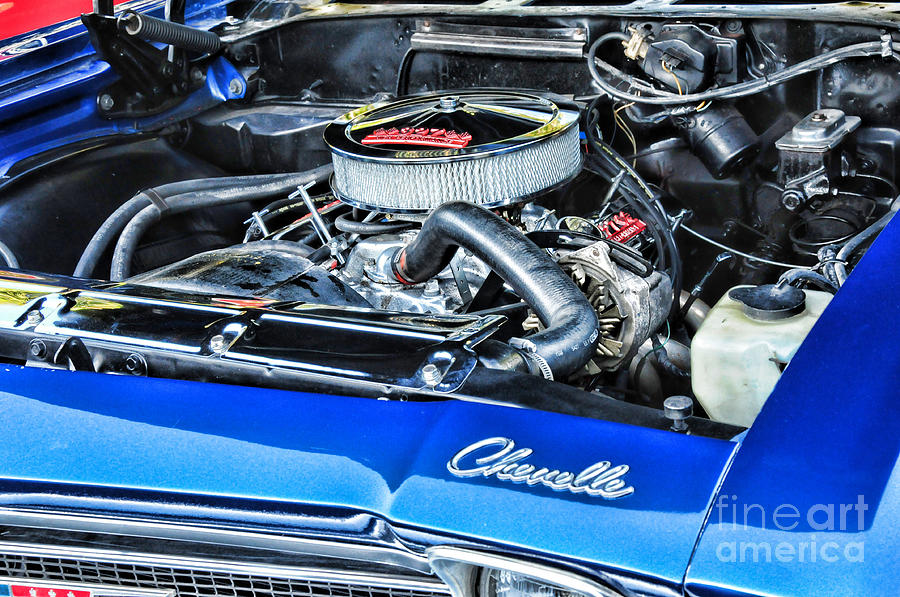 Chevelle Muscle Car Photograph by Paul Ward